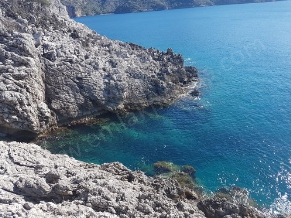 Gökbel Ortaca Satılık Tarla |  1300M2 10.000.000Tl Resim-3