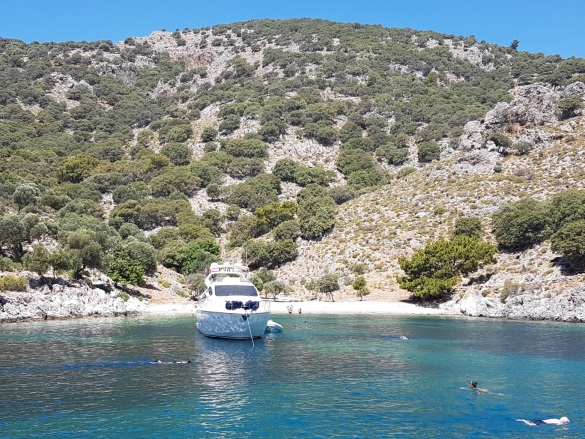 Göcek Fethiye Satılık Tarla |  2600M2 6.500.000$ Resim-2