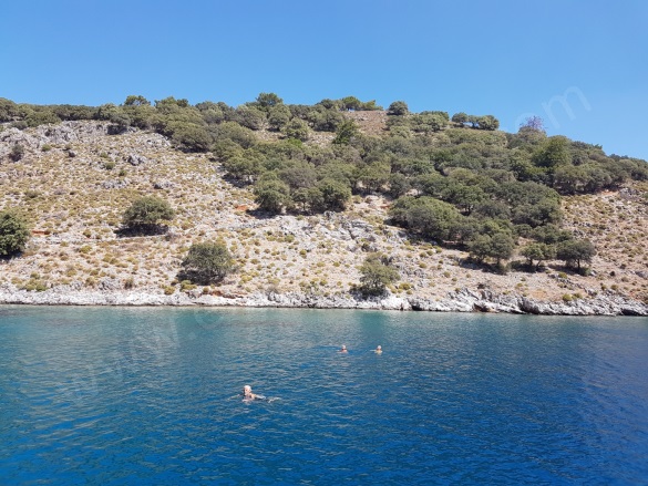 Göcek Fethiye Satılık Tarla |  2600M2 6.500.000$ Resim-3