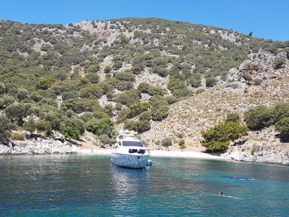 Göcek Fethiye Satılık Tarla |  2600M2 6.500.000$ Resim-5