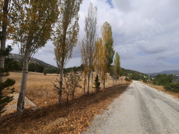 - Çameli Satılık Arazi |  6230M2 3.000.000Tl Resim-2