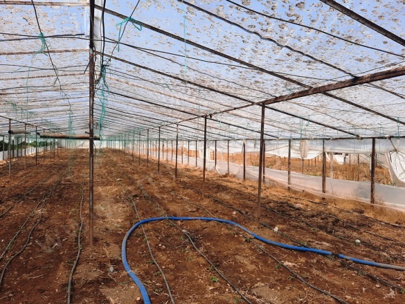 Ekşiliyurt Ortaca Satılık Arazi |  4776M2 10.000.000Tl Resim-2