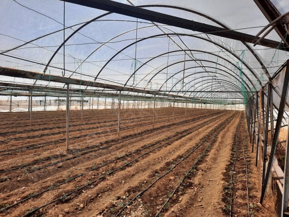 Ekşiliyurt Ortaca Satılık Arazi |  4776M2 10.000.000Tl Resim-4