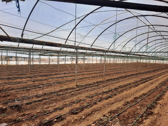 Ekşiliyurt Ortaca Satılık Arazi |  4776M2 10.000.000Tl Resim-5