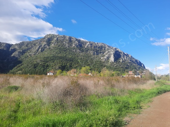 Marmarlı Ortaca Satılık Arazi |  20000M2 43.000.000Tl İmarlı  Resim-2