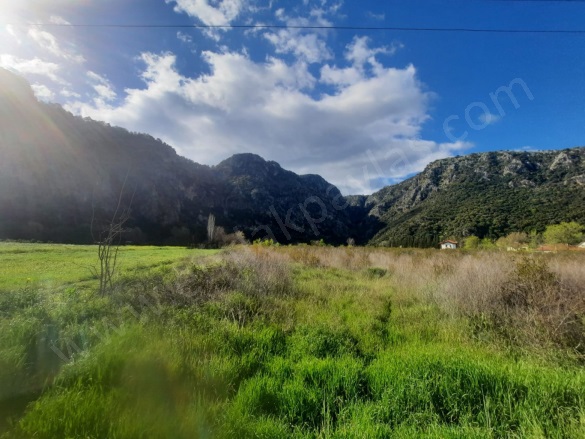 Marmarlı Ortaca Satılık Arazi |  20000M2 43.000.000Tl İmarlı  Resim-4