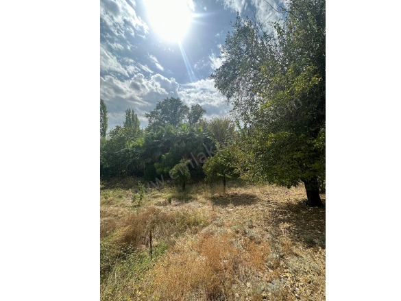 Köyceğiz Köyü Köyceğiz Satılık Arsa | 13.500.000Tl İmarlı  Resim-3