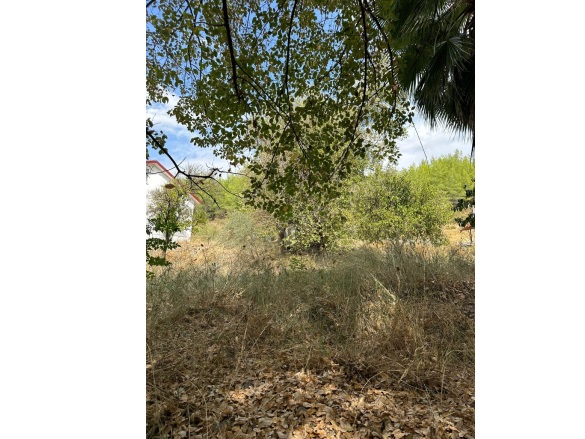 Köyceğiz Köyü Köyceğiz Satılık Arsa | 13.500.000Tl İmarlı  Resim-5