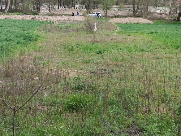 - Çameli Satılık Arazi |  1450M2 1.250.000Tl Resim-5