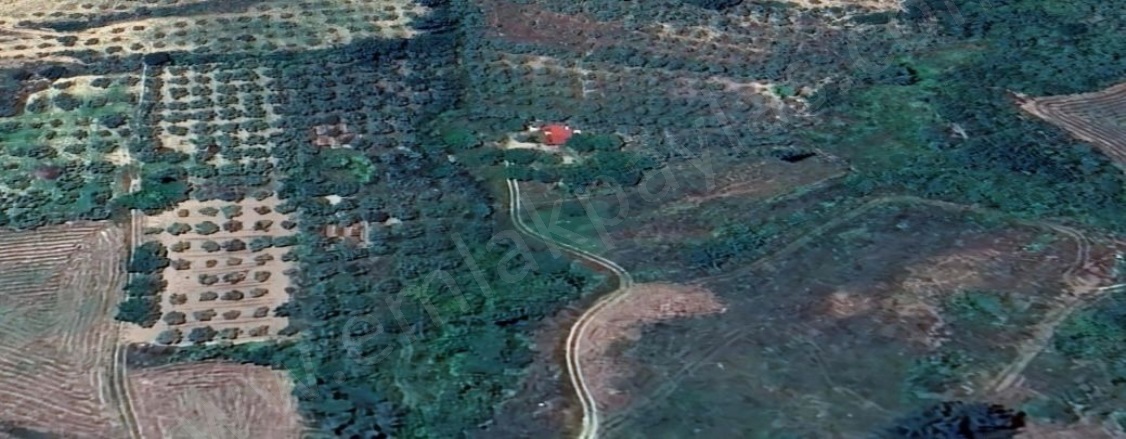 Kafaca Menteşe Satılık Tarla |  6350M2 4.500.000Tl Resim-3