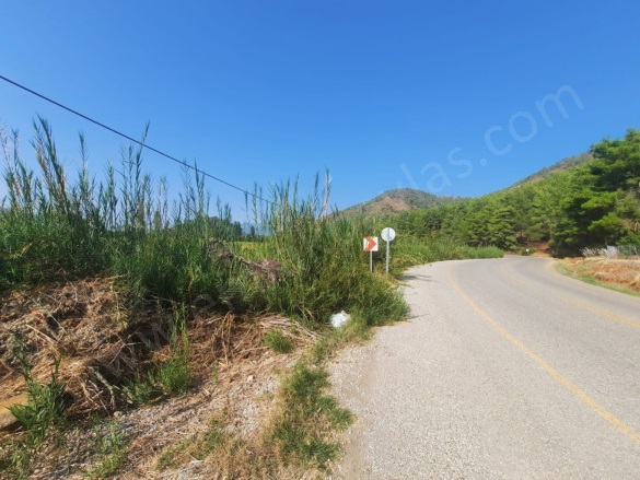 Ekşiliyurt Ortaca Satılık Arazi |  8000M2 12.000.000Tl Resim-1
