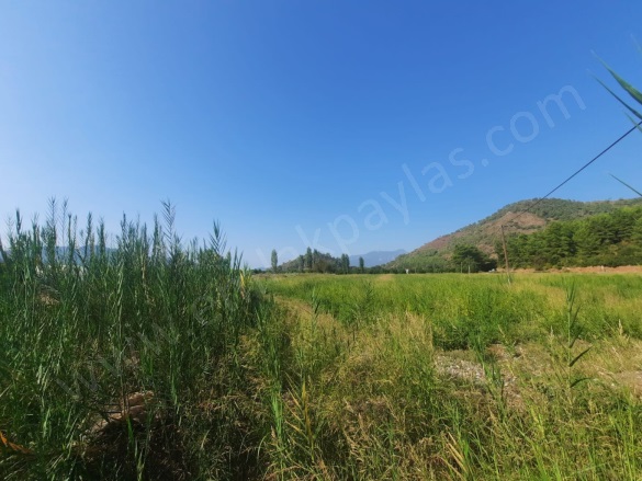 Ekşiliyurt Ortaca Satılık Arazi |  8000M2 12.000.000Tl Resim-2
