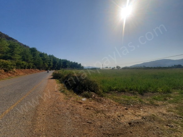 Ekşiliyurt Ortaca Satılık Arazi |  8000M2 12.000.000Tl Resim-3