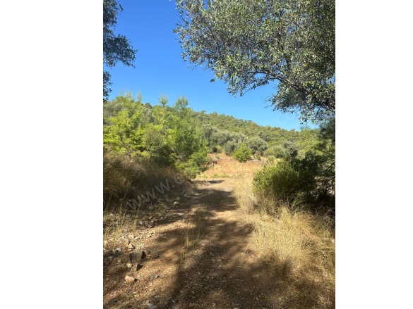 Sarıgerme Ortaca Satılık Arsa |  403M2 5.500.000Tl İmarlı  Resim-2