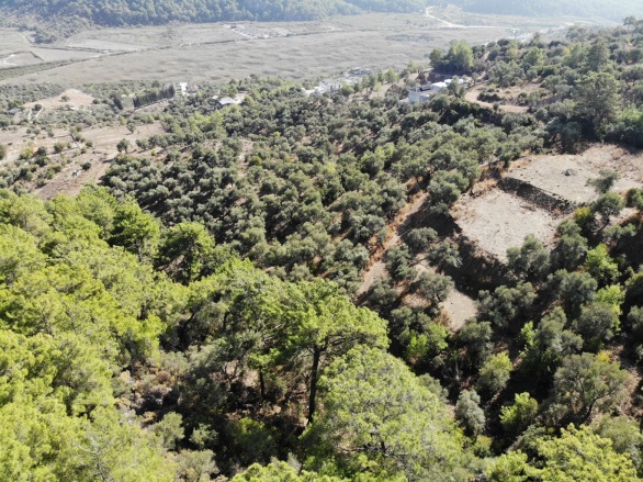 Sarıgerme Ortaca Satılık Arsa |  403M2 5.500.000Tl İmarlı  Resim-3