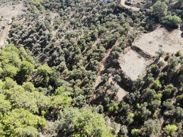 Sarıgerme Ortaca Satılık Arsa |  403M2 5.500.000Tl İmarlı  Resim-5