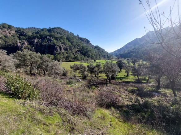 Dalyan Ortaca Satılık Arazi |  13200M2 16.000.000Tl Resim-2