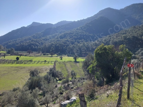 Dalyan Ortaca Satılık Arazi |  13200M2 16.000.000Tl Resim-5