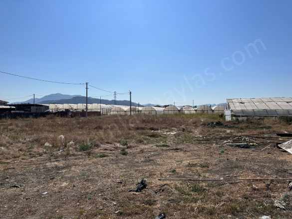 Ortaca Karaburunda 515 M2 Köşe imarlı Acil Satılık Arsa Veya Takas