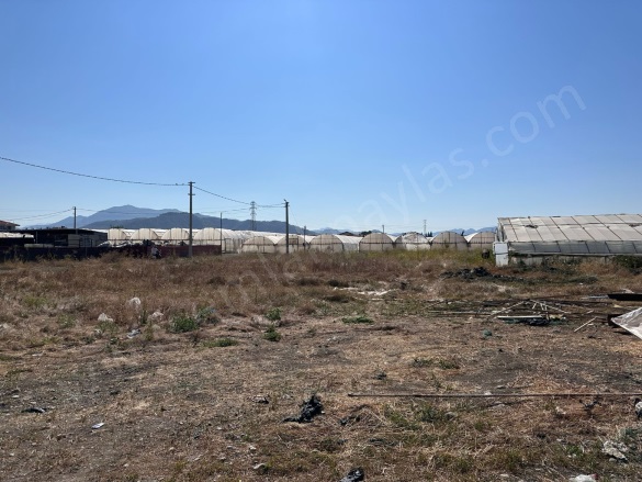 Karaburun Ortaca Satılık Arsa |  515M2 9.000.000Tl İmarlı  Resim-3