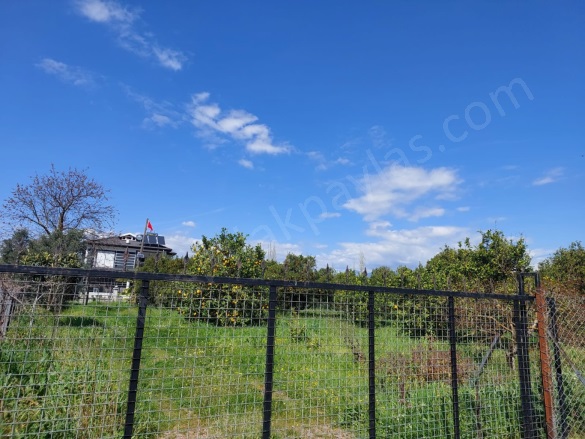 Okçular Ortaca Satılık Arsa |  1550M2 15.000.000Tl Resim-2