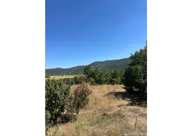 Yumrutaş Çameli Satılık Tarla |  3070M2 3.500.000Tl Resim-1