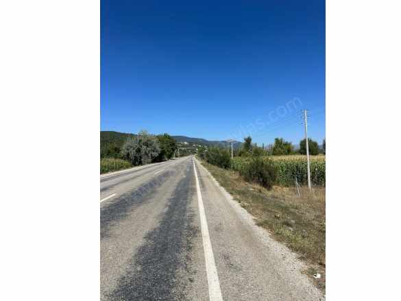 Denizli Çameli De Anayol Kenarı 3070 M2 Ceviz Bahçesi Satılık Tarla Yumrutaş