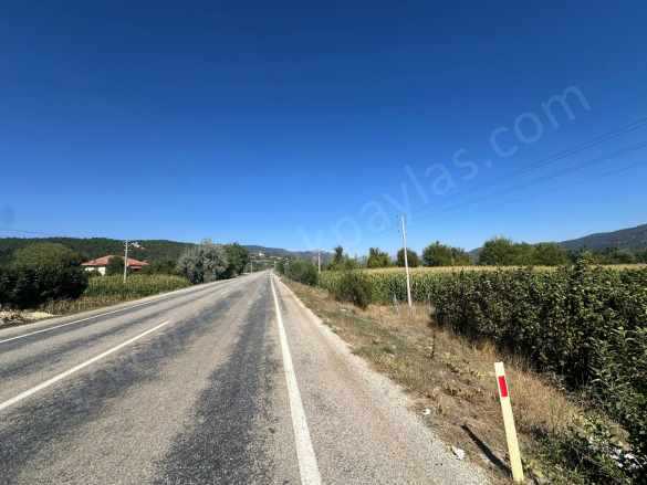Denizli Çameli De Anayol Kenarı 3070 M2 Ceviz Bahçesi Satılık Tarla Yumrutaş