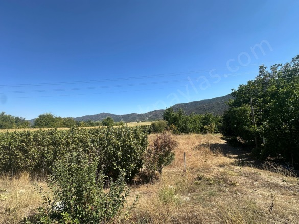 Yumrutaş Çameli Satılık Tarla |  3070M2 3.500.000Tl Resim-4