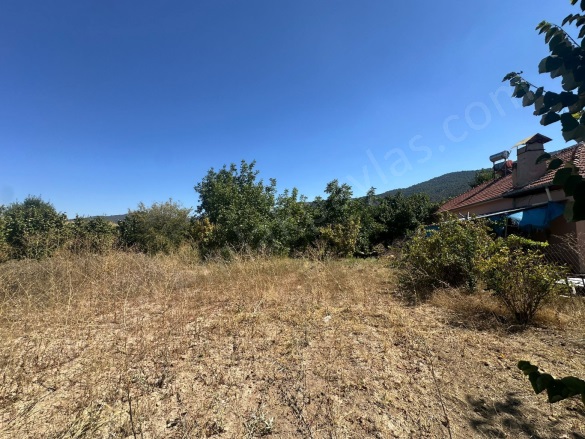 Yumrutaş Çameli Satılık Tarla |  3070M2 3.500.000Tl Resim-5