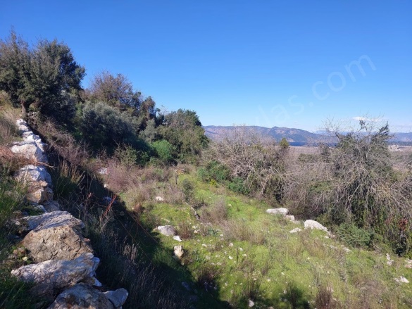 Dalyan Ortaca Satılık Arazi |  1000M2 5.000.000Tl Resim-3