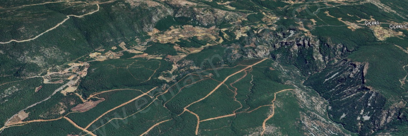 Armutcuk Ula Satılık Tarla |  25000M2 300.000Tl Resim-1