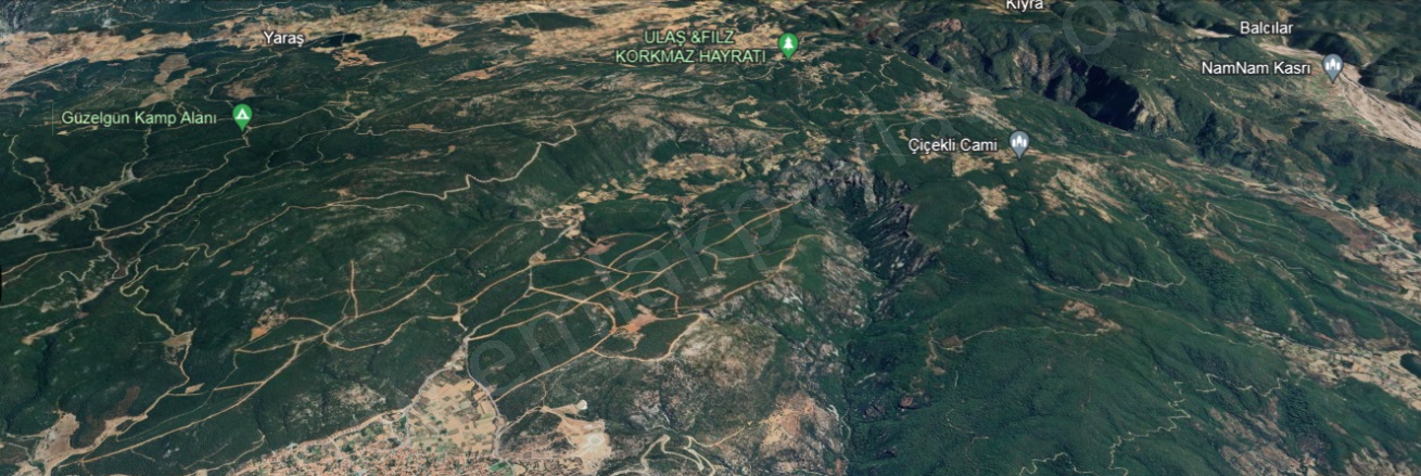 Armutcuk Ula Satılık Tarla |  25000M2 300.000Tl Resim-3