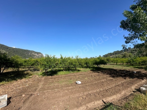 Mergenli Ortaca Satılık Arsa |  1700M2 12.000.000Tl Resim-3