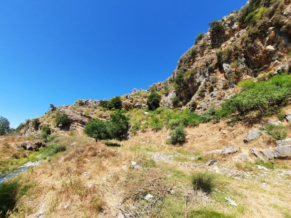 Dalyan Ortaca Satılık Arazi |  6500M2 3.250.000Tl Resim-4