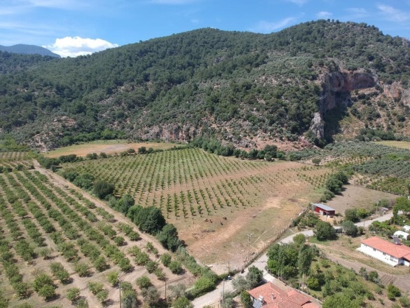 Çandır Köyceğiz Satılık Tarla |  33800M2 99.000.000Tl Resim-1