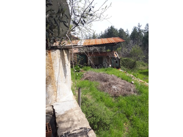 - Beyağaç Satılık Arsa |  545M2 5.600.000Tl Resim-2