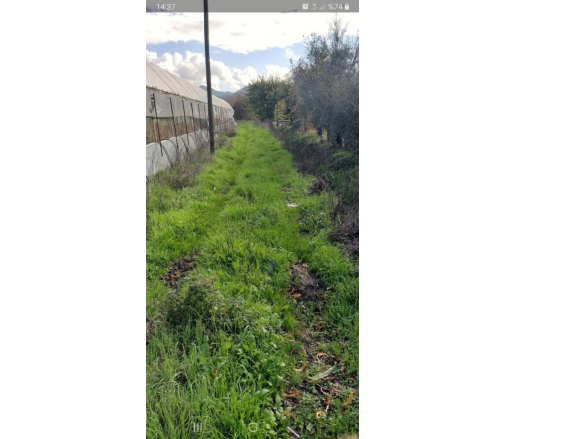 Köyceğiz Köyü Köyceğiz Satılık Tarla |  26381M2 25.000.000Tl Resim-1