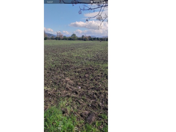 Köyceğiz Köyü Köyceğiz Satılık Tarla |  26381M2 25.000.000Tl Resim-2