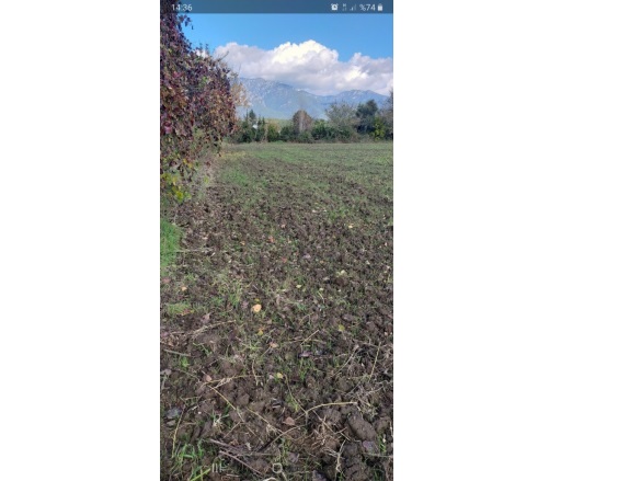 Köyceğiz Köyü Köyceğiz Satılık Tarla |  26381M2 25.000.000Tl Resim-3