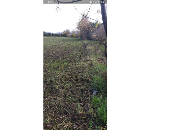 Köyceğiz Köyü Köyceğiz Satılık Tarla |  26381M2 25.000.000Tl Resim-4