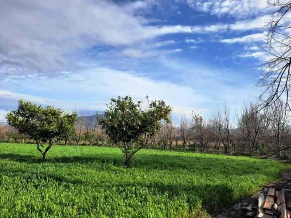 Ortaca Okçularda 1500 M2 Müstakil Doğa içinde Arsa Satılık Arazi