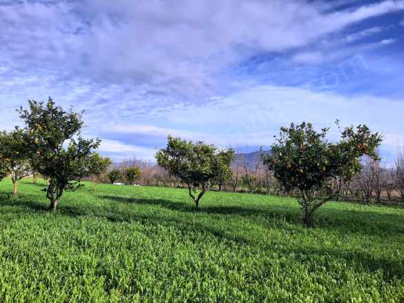 Ortaca Okçularda 1500 M2 Müstakil Doğa içinde Arsa Satılık Arazi