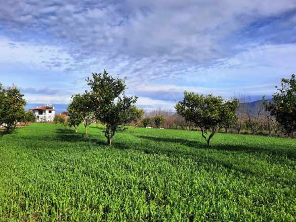 Ortaca Okçularda 1500 M2 Müstakil Doğa içinde Arsa Satılık Arazi