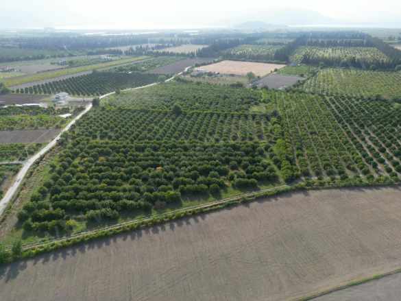 Muğla Ortaca Tepearası De 23 000 M² Müstakil Satılık Tarla