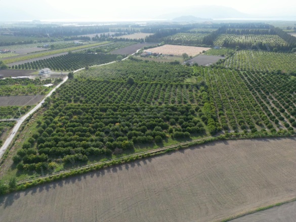 Tepearası Ortaca Satılık Tarla |  23000M2 53.000.000Tl Resim-2