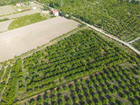 Muğla Ortaca Tepearası De 23 000 M² Müstakil Satılık Tarla