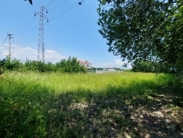 Dalyan Ortaca Satılık Arsa |  1500M2 50.000.000Tl İmarlı  Resim-2