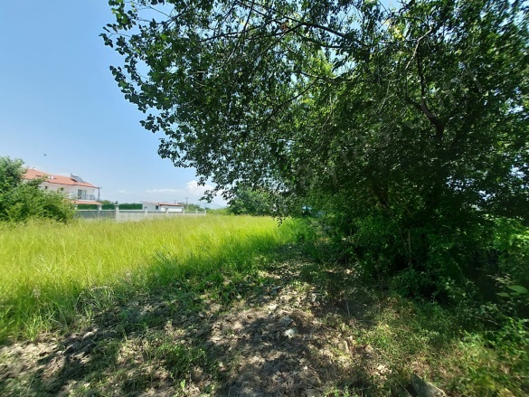 Dalyan Ortaca Satılık Arsa |  1500M2 50.000.000Tl İmarlı  Resim-3