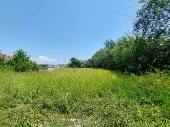 Dalyan Ortaca Satılık Arsa |  1500M2 50.000.000Tl İmarlı  Resim-4